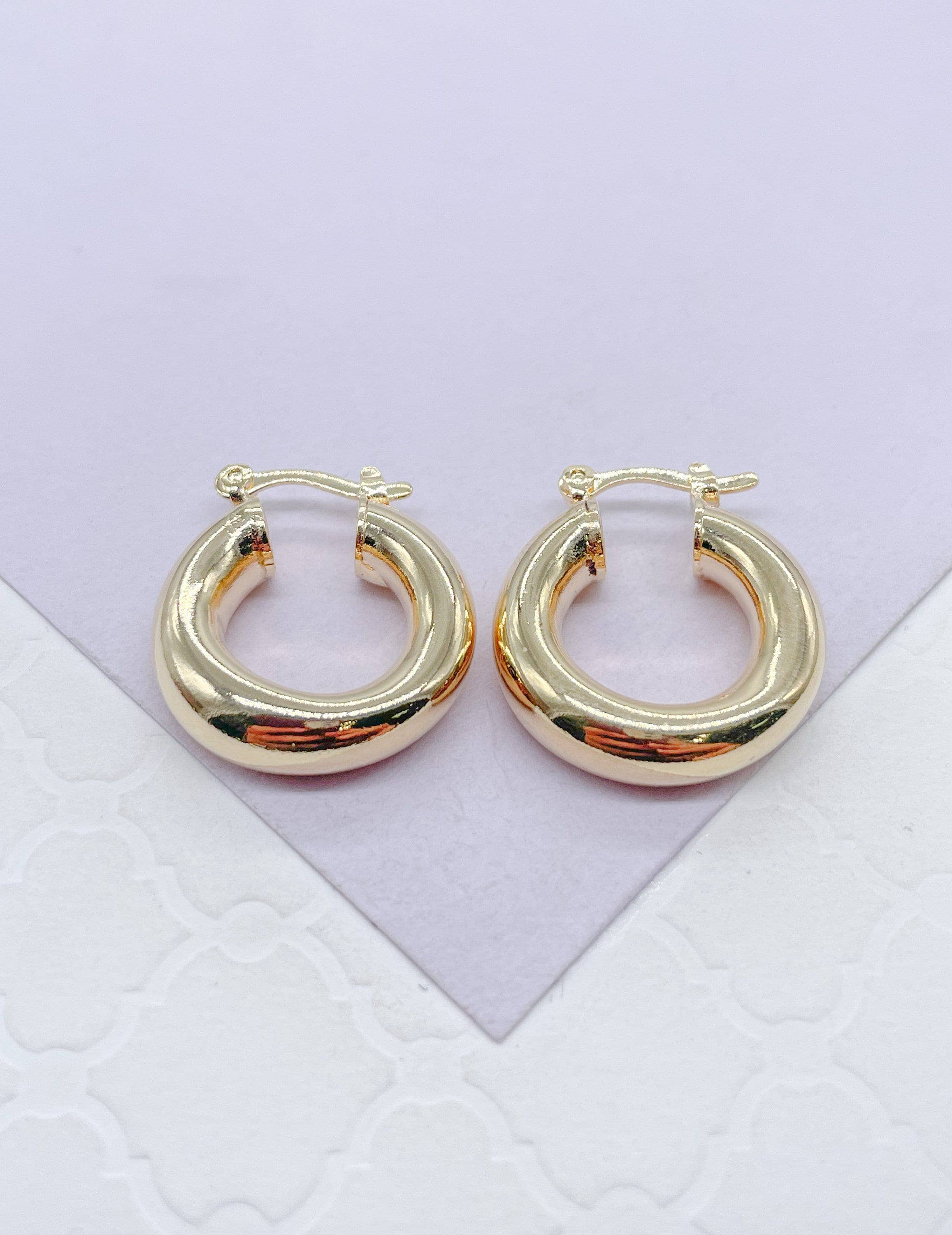 18k Gold Filled 5mm Plain Thick 25mm Small Hoops: Silver / 25mm