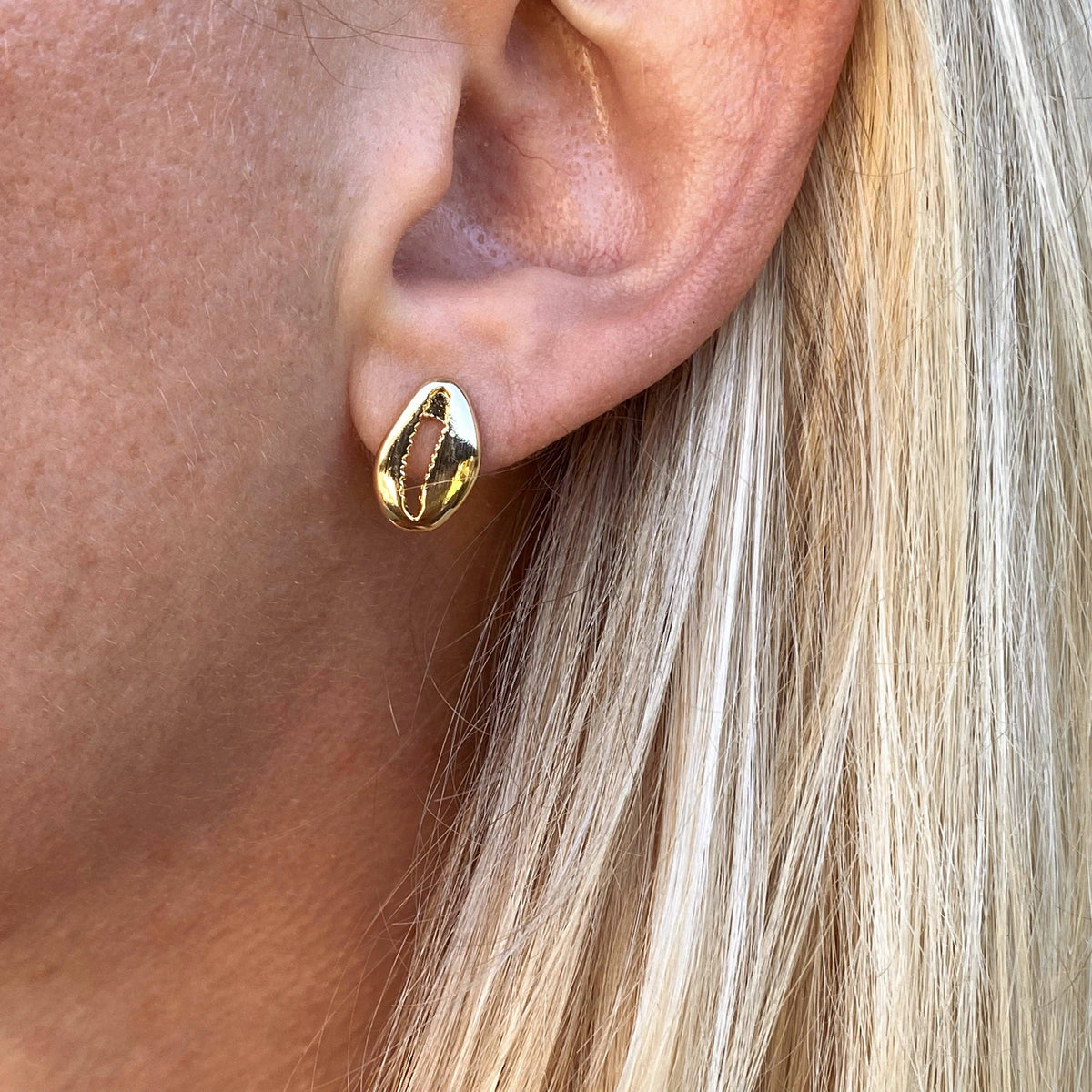 18k Gold Filled Cowrie Shell Protection Earrings